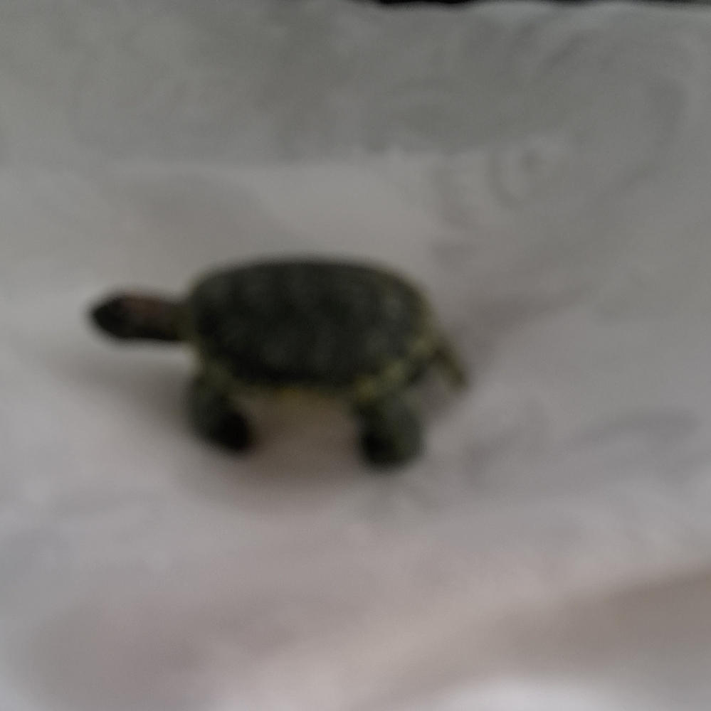 Tiny turtle ornament